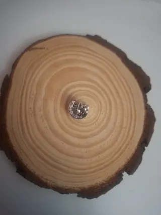 Charm Flor de Loto Plata y Rosa