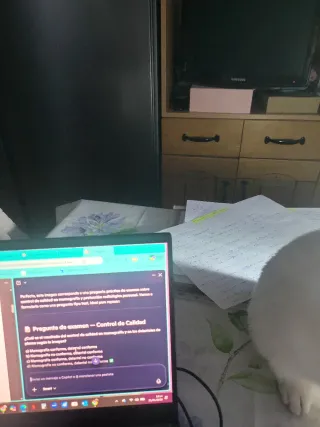 Mancuernas y Barra Ajustables 2x10kg, 2x12.5kg, 2x