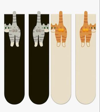 Calcetines divertidos gato con huevos