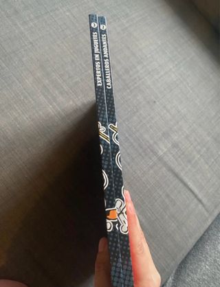 Lote 2 Cómics Zipi y Zape - Edición Coleccionista