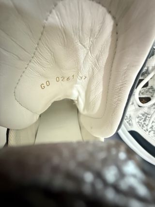 Zapatillas Louis Vuitton Blancas y Plateadas