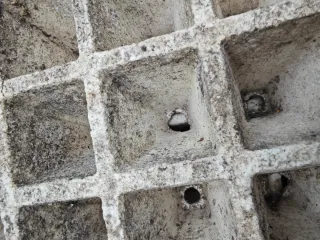 Bandejas semilleros profesionales