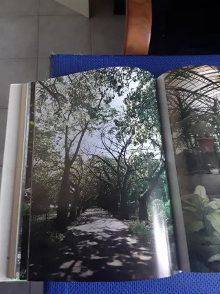 L'Orto Botanico di Palermo