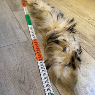 Collo pelliccia beige e nero