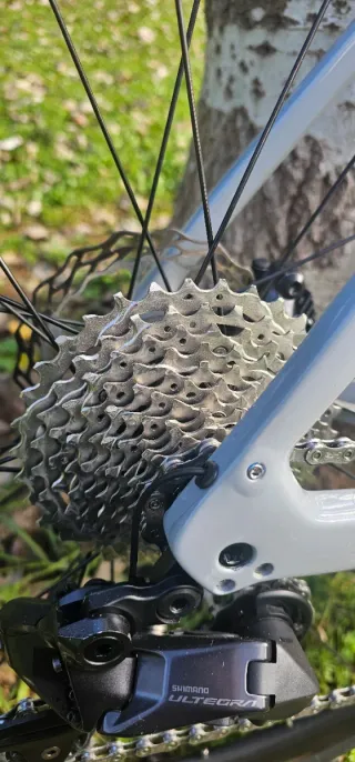 Trek Domane SL 7 Gen 4