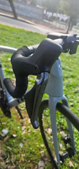 Trek Domane SL 7 Gen 4