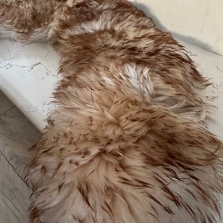 Accessorio collo pelliccia beige/marrone