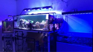 Acuario 1.70 x 80x55  mas sump (Solo urna vacia)