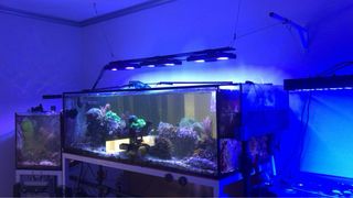 Acuario 1.70 x 80x55  mas sump (Solo urna vacia)