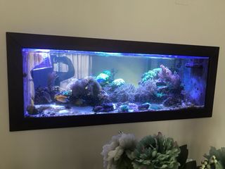 Acuario 1.70 x 80x55  mas sump (Solo urna vacia)