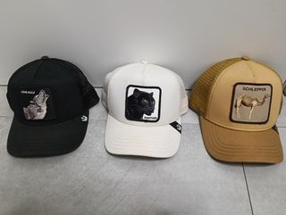 Gorras Goorin Bros (3 unidades)