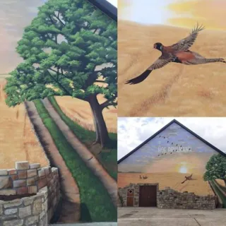 Decorazioni murales interni ed esterni.