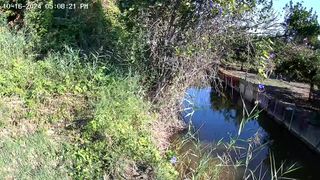 Cámara Vigilancia Wifi TOAIOHO QB320 2K