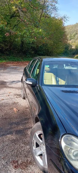 Mercedes-Benz Clase E 2005