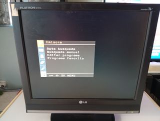 Pantalla TV LG 17 Flatron M1721A