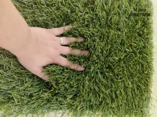 Césped artificial reciclado