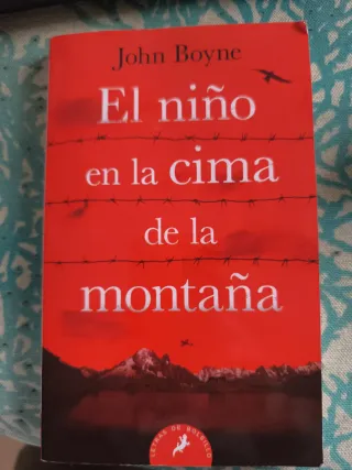 El niño en la cima de la montaña / The Boy at t...