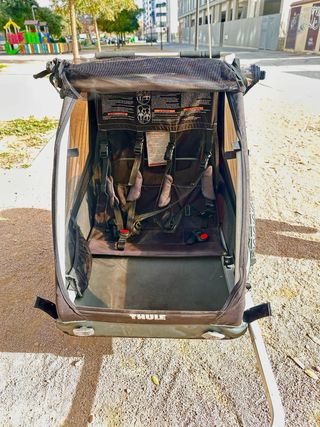 Carro remolque bicicleta Thule Coaster XT