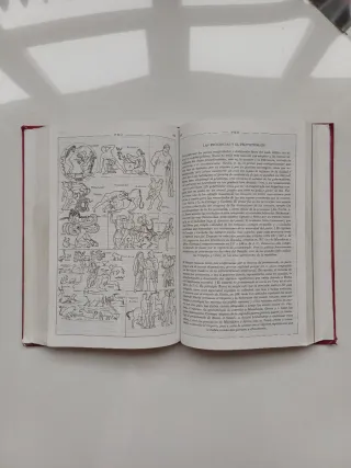 Diccionario Ilustrado Latín. Latino-Español/ Es...