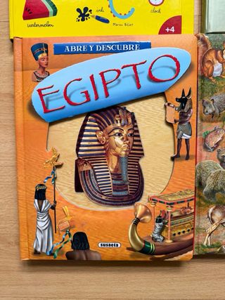 Lote libros educativos infantiles – inglés, animal