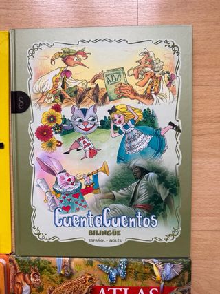 Lote libros educativos infantiles – inglés, animal