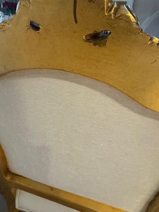 Coppia di poltrone in stile Luigi XIV in pelle bianca e oro