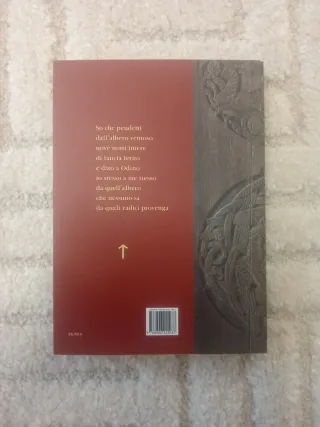 Hávamál. La voce di Odino