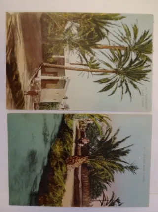 Cartoline Arabe Antiche