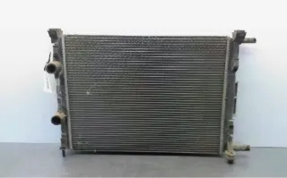 Radiador Completo Gran Scenic Confort Expresión