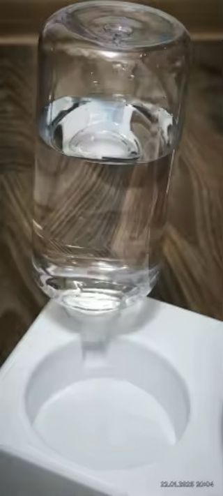 Cuenco comedero agua automática bol inclinable