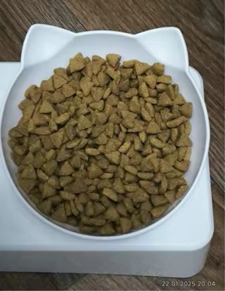 Cuenco comedero agua automática bol inclinable