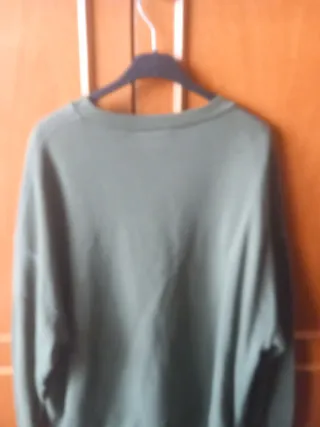 Sudadera Alexander McQueen verde