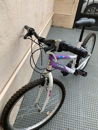 Bicicleta Teens Topbike 24”.