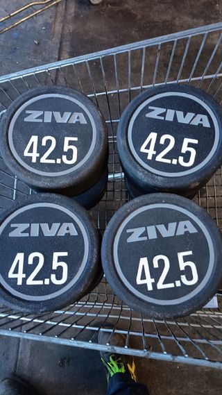Mancuernas Ziva 42.5 Kgs (Par)