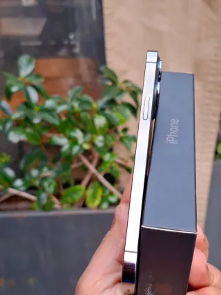 iPhone 13 Pro Max 256 GB Space Gray