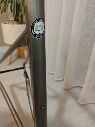 FOCUS Izalco Max disc 100% cableado interno