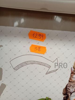 Contenedor de comida - 41,0 x 37,0 x 50,0 cm - Rotho