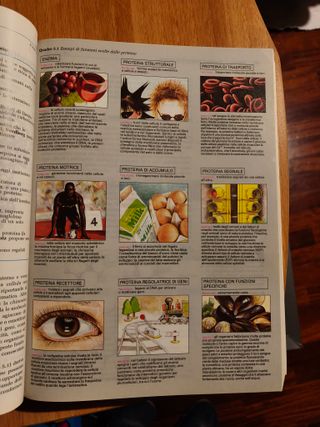 L'essenziale di «Biologia molecolare della cell...