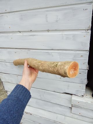 Tronco madera de Boj 75cm L x 15cm D