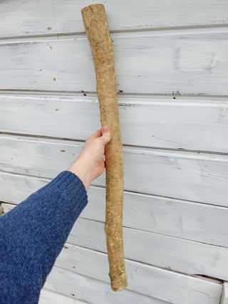 Tronco madera de Boj 75cm L x 15cm D