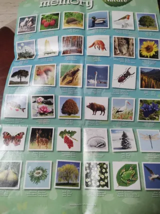 Juego Memory Naturaleza - NO con InPost