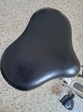 Bicicleta Estática Plegable