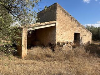 Finca 4,7ha amp agua de canal.