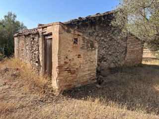 Finca 4,7ha amp agua de canal.