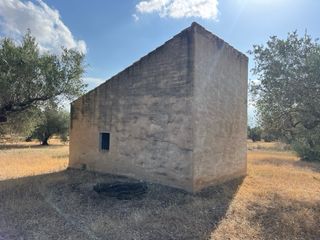 Finca 4,7ha amp agua de canal.