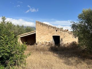 Finca 4,7ha amp agua de canal.