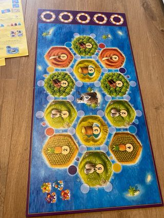JOC DE TAULA / JUEGO DE MESA CATAN