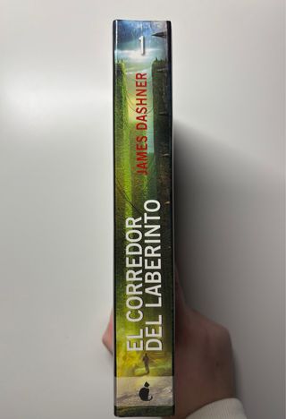 El corredor del laberinto (Literatura Mágica) (...