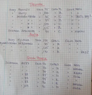 BODYS Y SUJETADORES DE PRIMERAS MARCAS