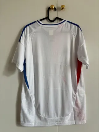 Camiseta de fútbol Inglaterra